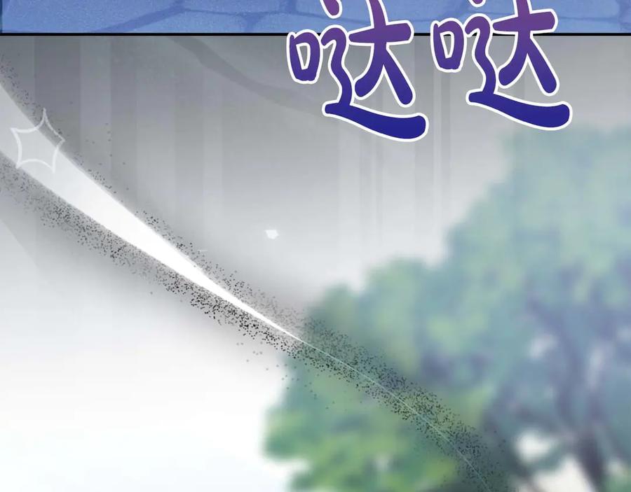 第216页