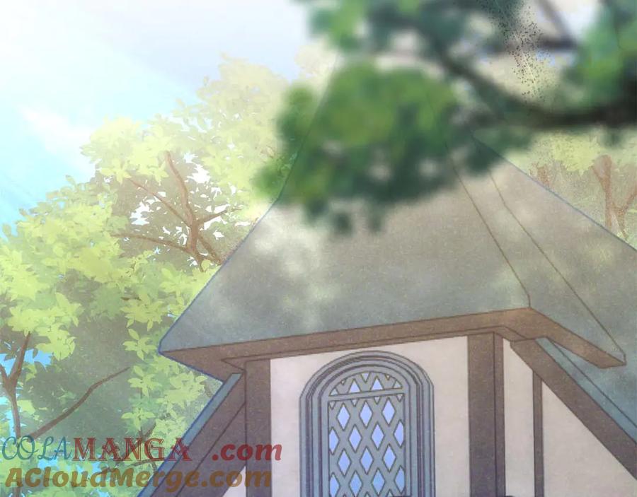 第217页