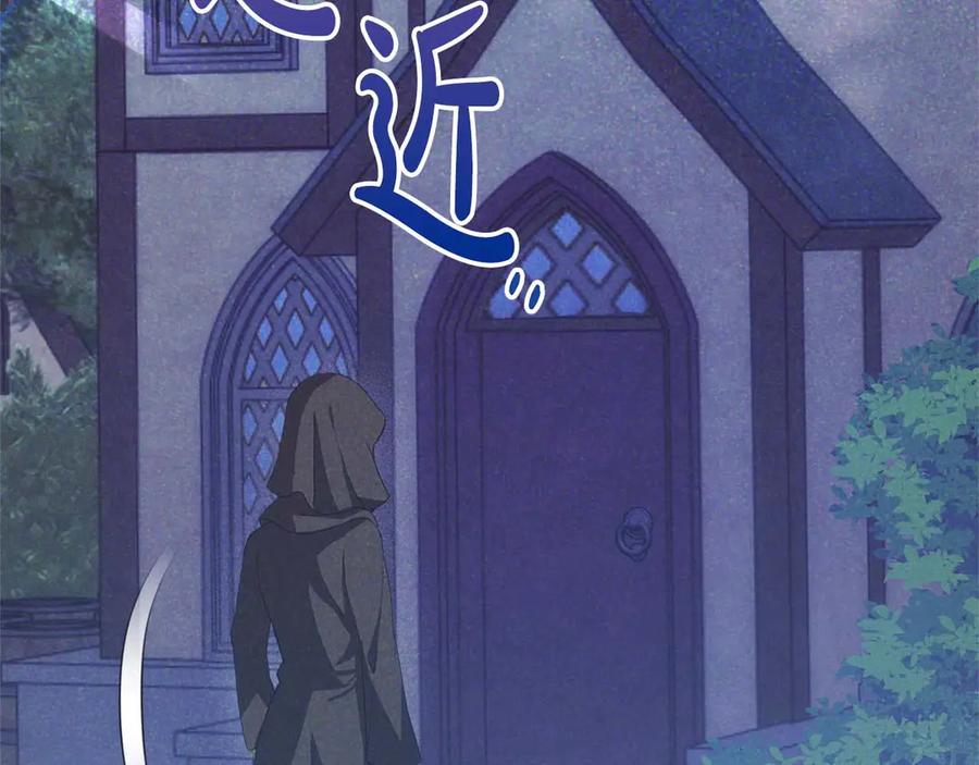 第219页