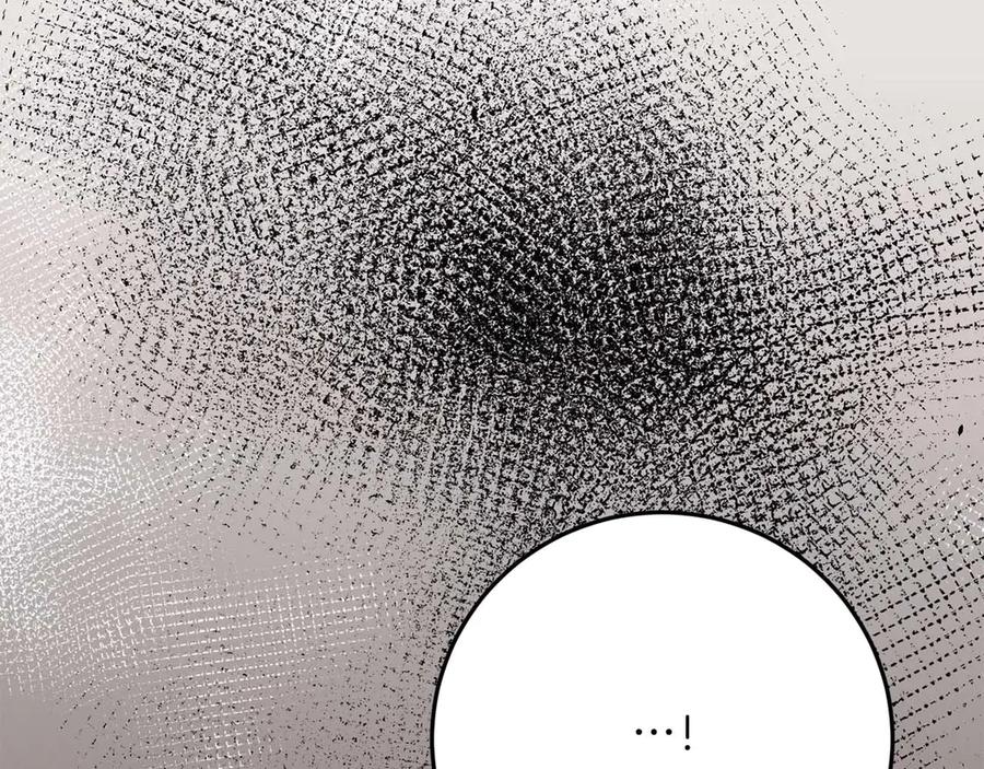 第232页