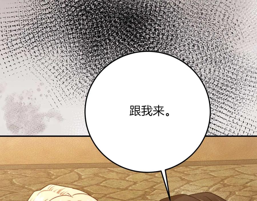 第242页