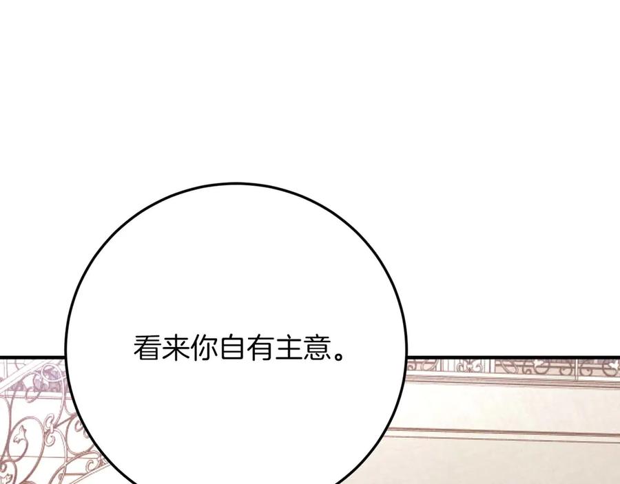 第224页