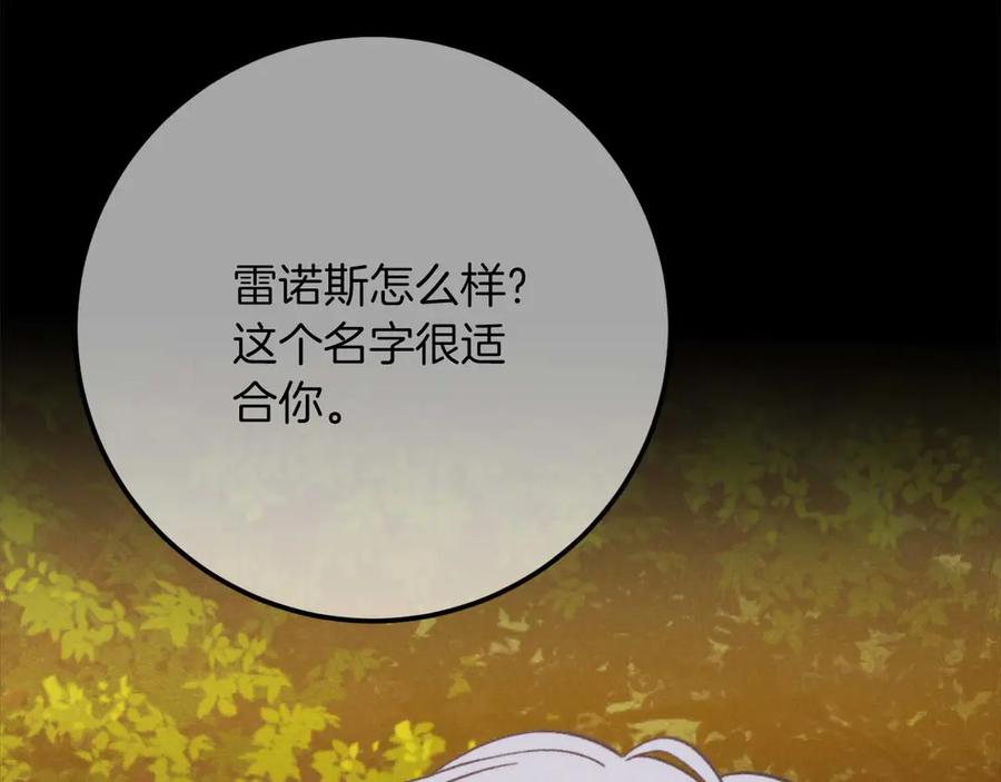 第214页