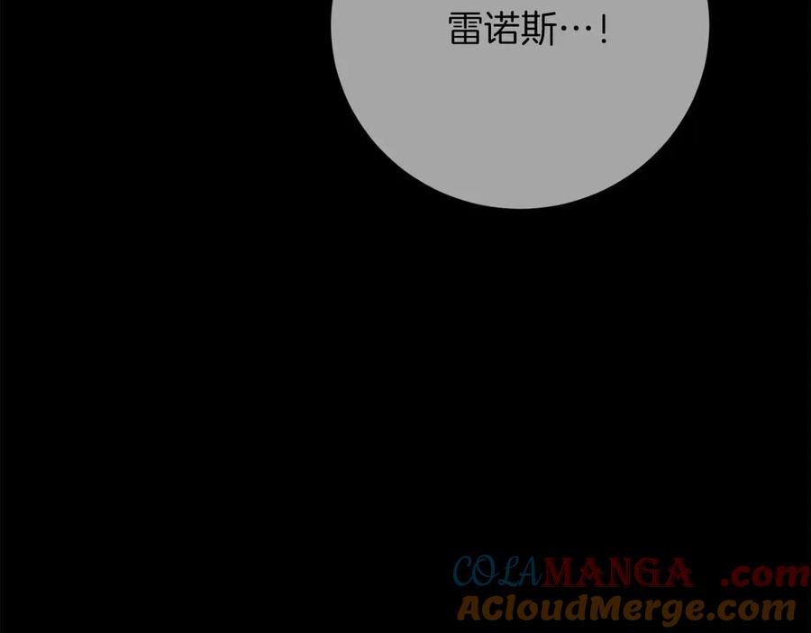 第217页