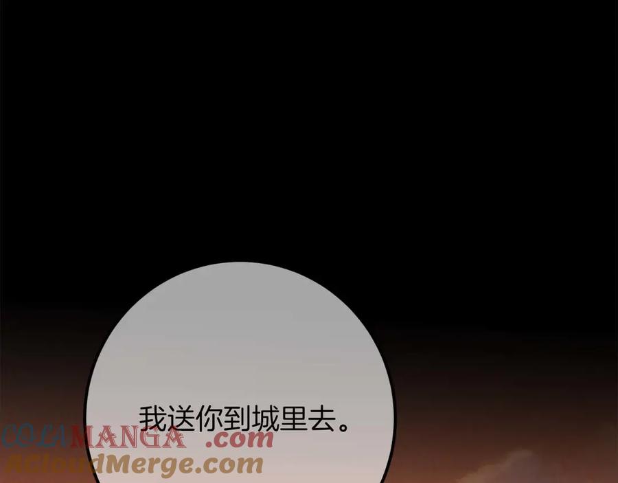 第221页