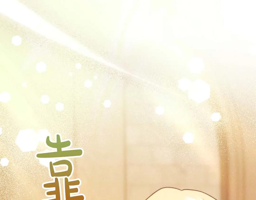 第242页