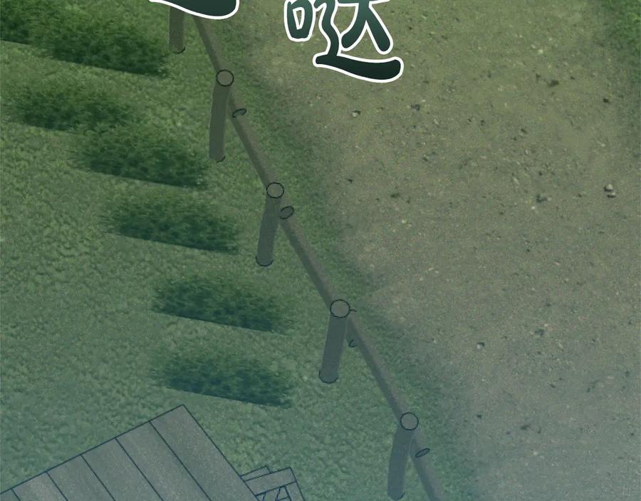 第203页