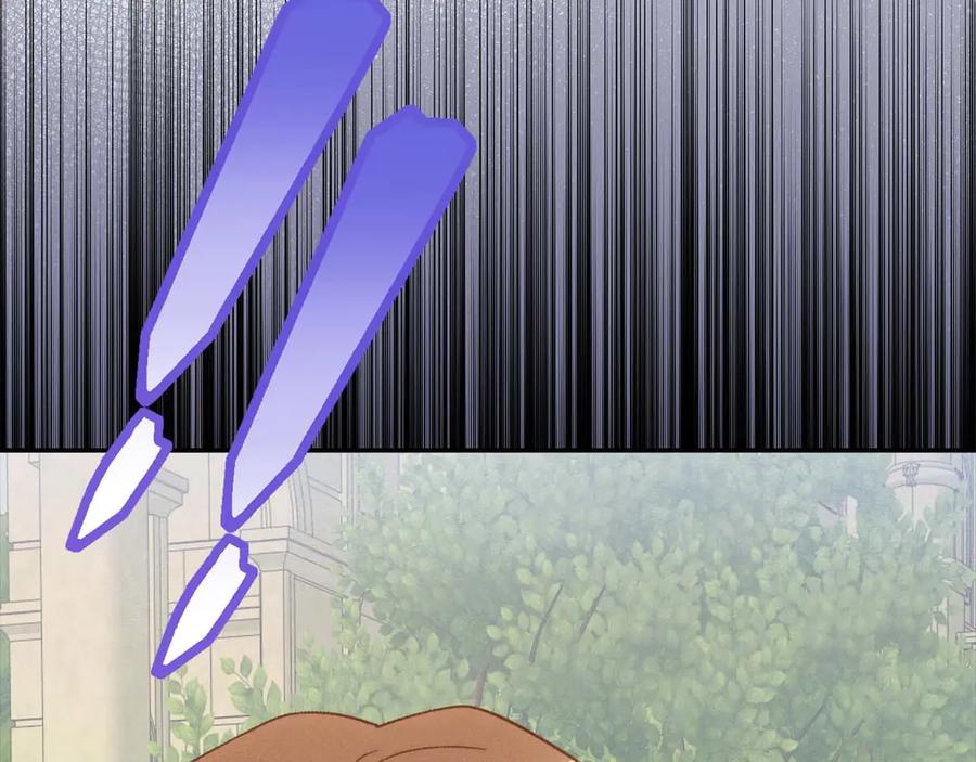 第215页