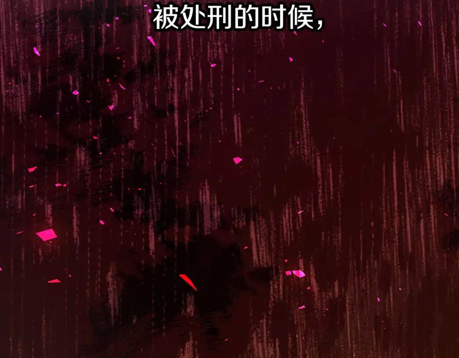 第223页