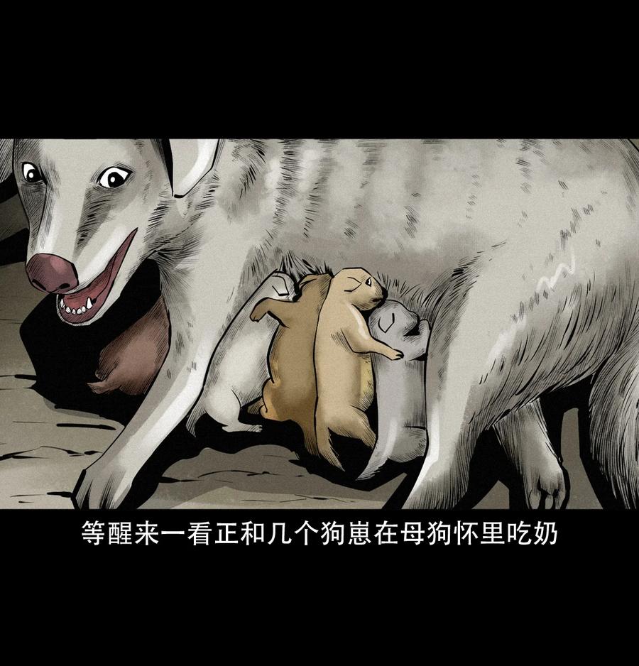 第47页