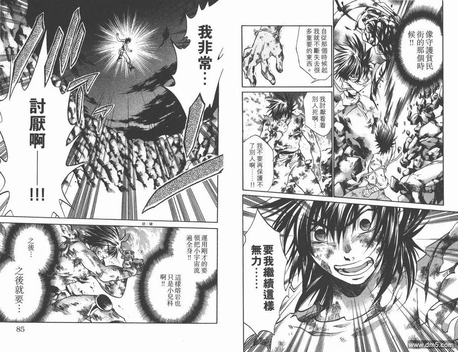 第43页