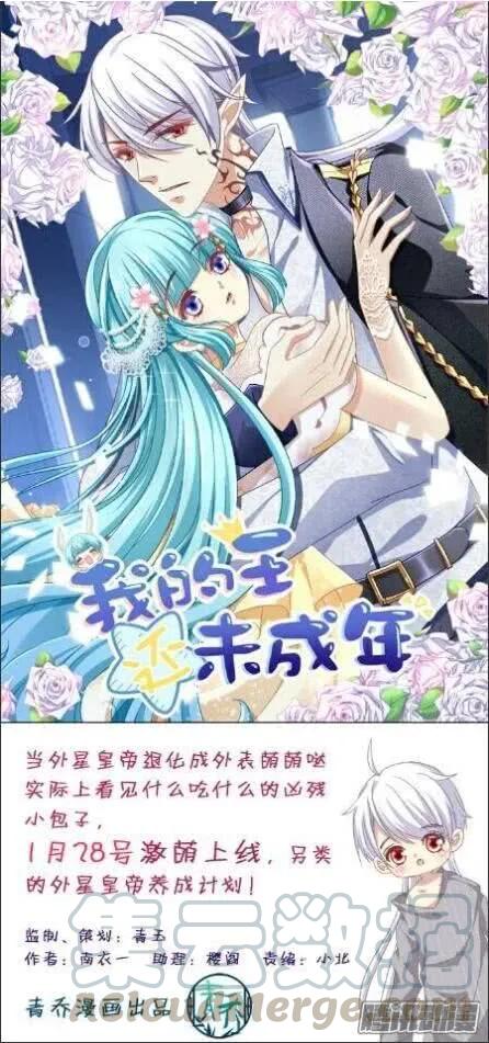 第85页