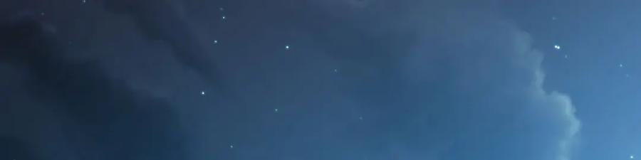 第431页