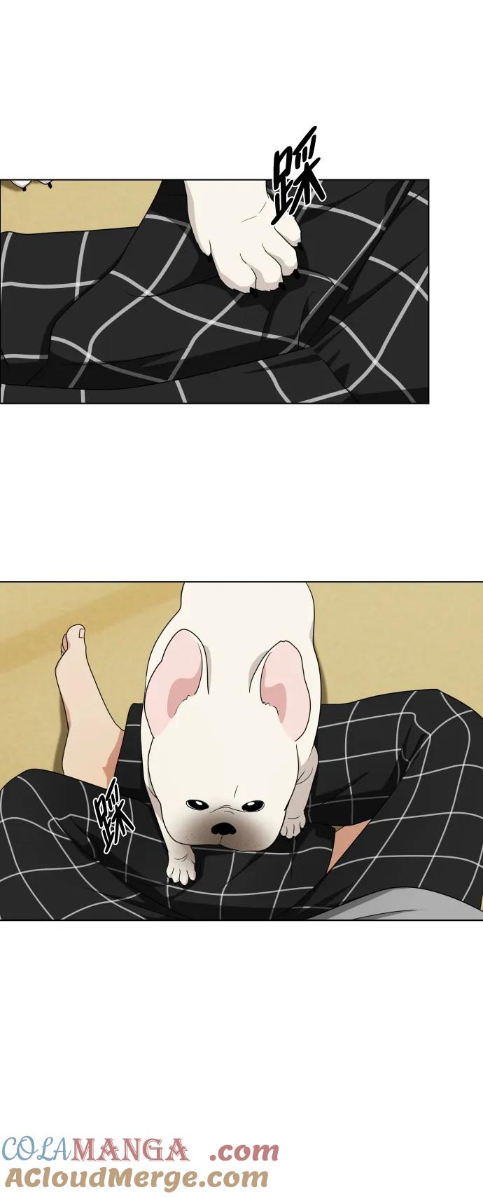 第161页