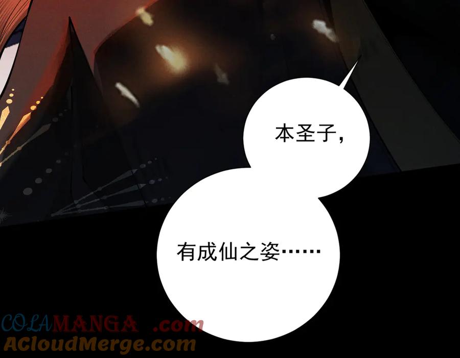 第205页