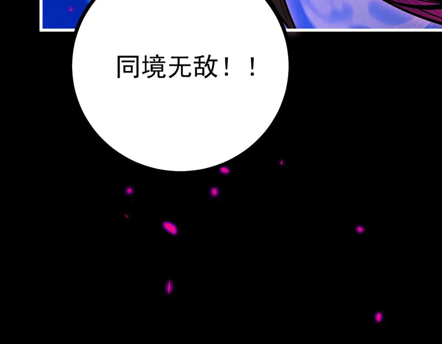第223页
