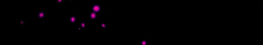 第227页