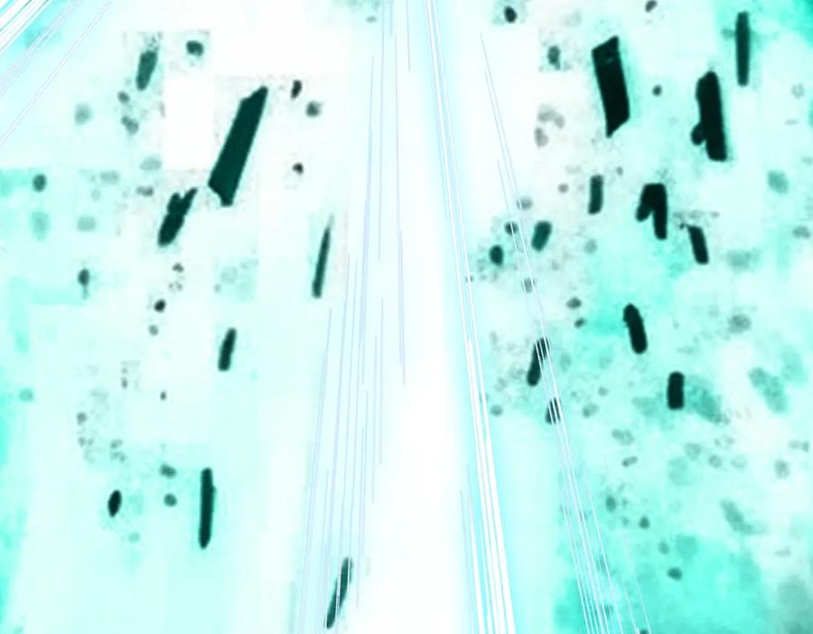 第135页