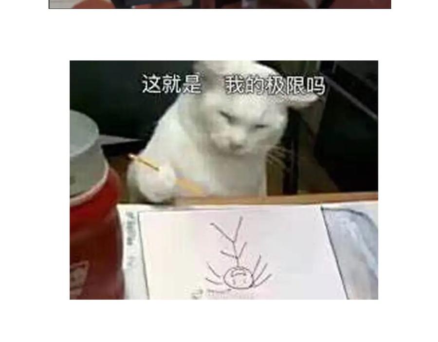 第215页