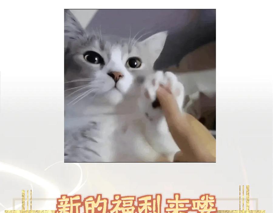 第252页