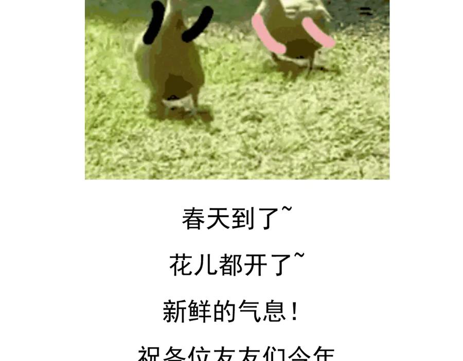 第215页