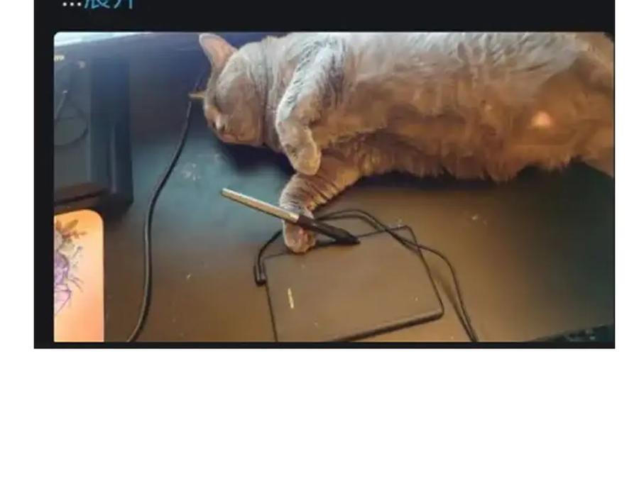 第218页