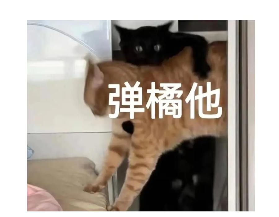 第196页