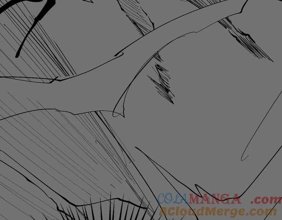 第209页