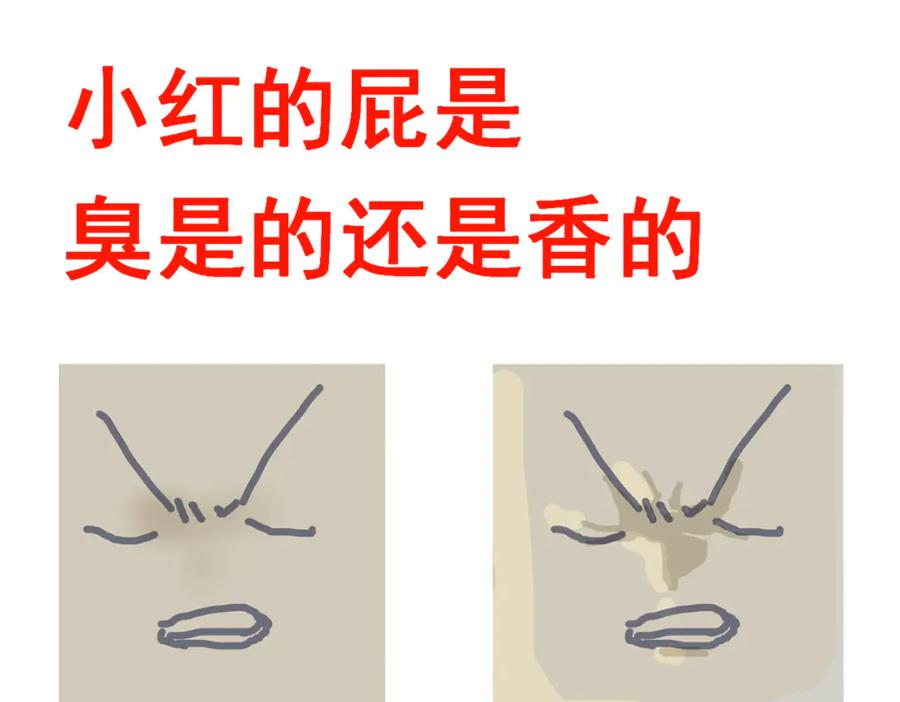 第204页