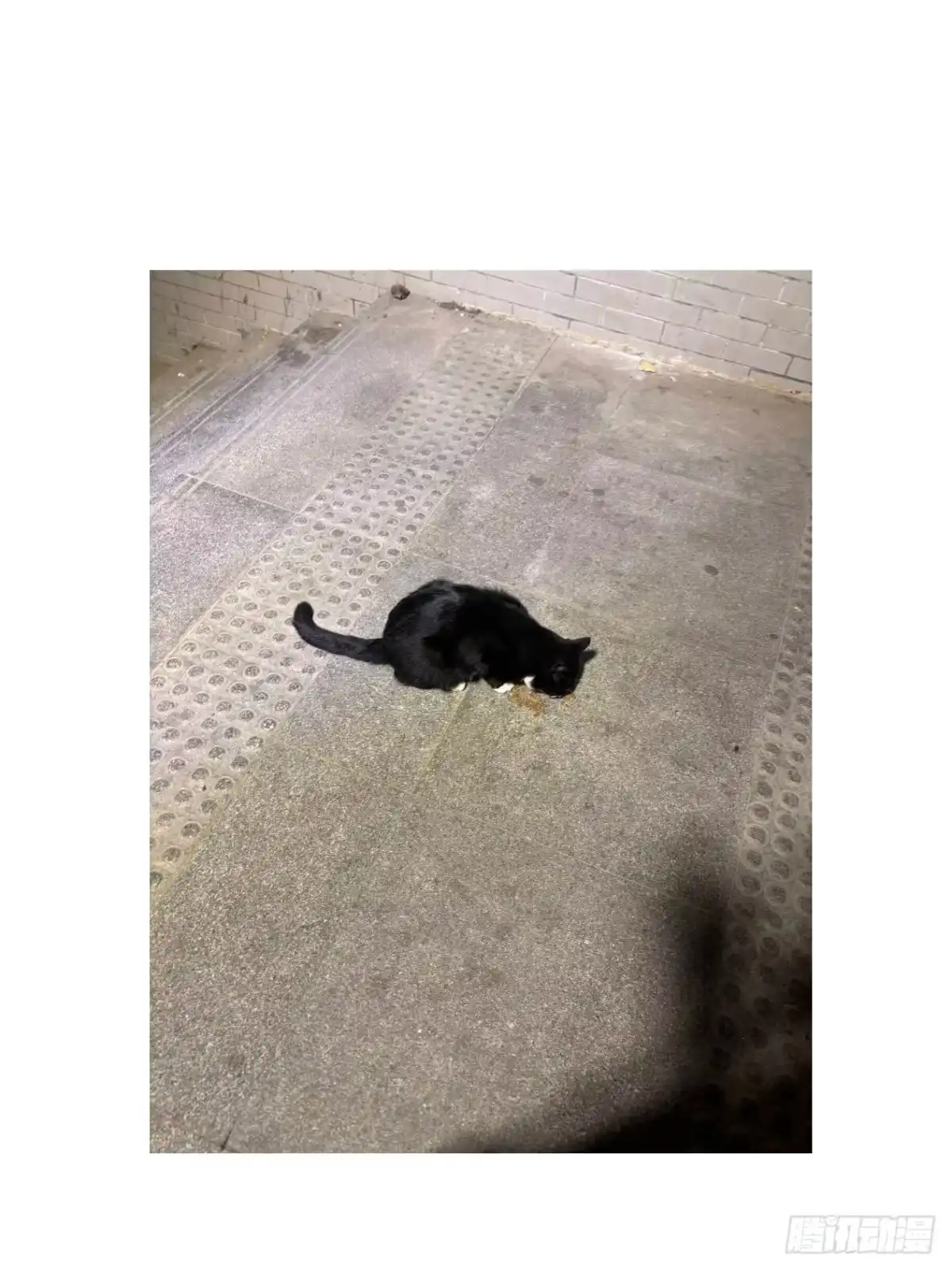 第78页