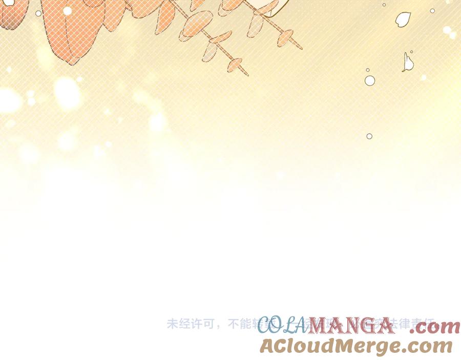 第205页