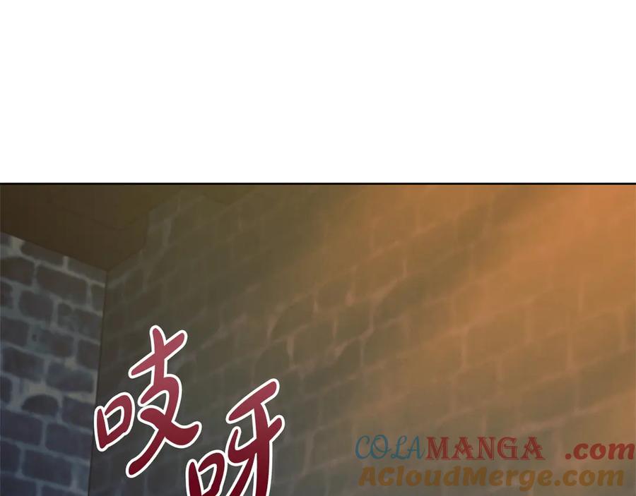 第205页