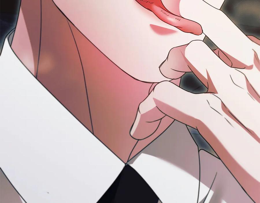 第216页