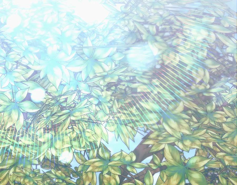 第162页