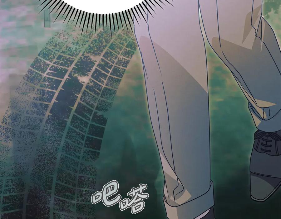 第206页