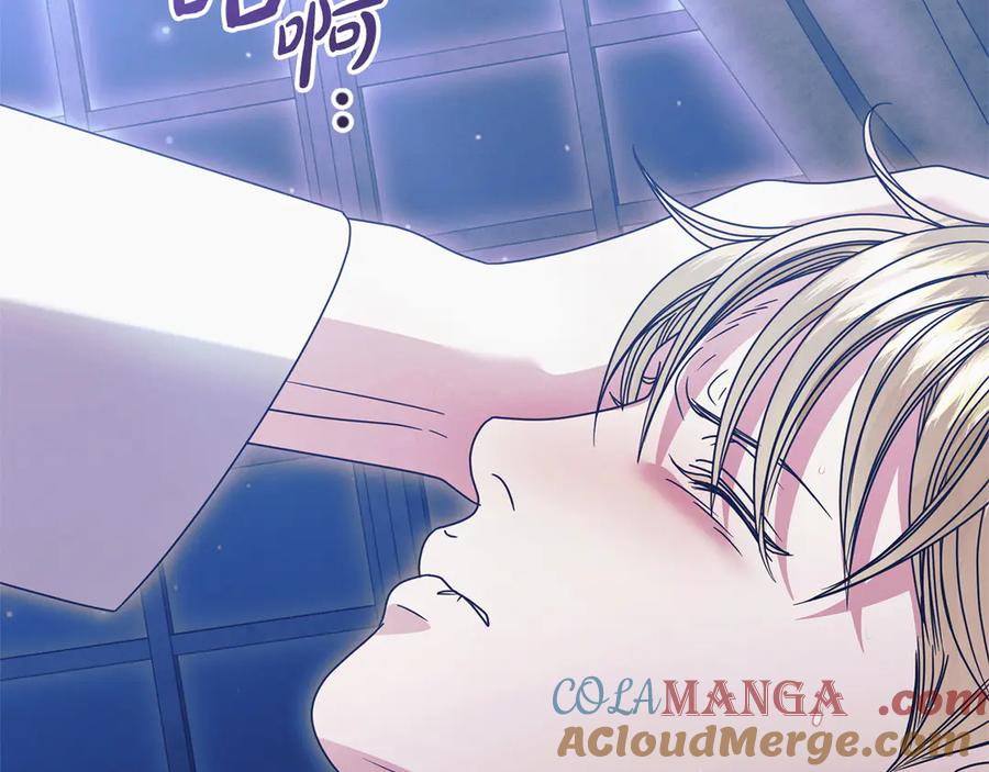 第237页