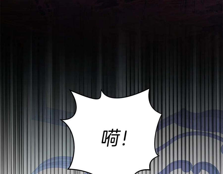 第244页