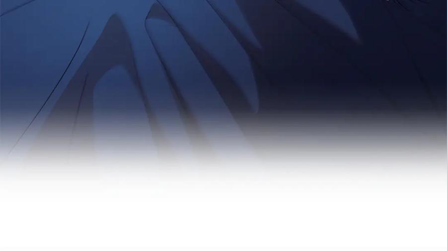 第247页