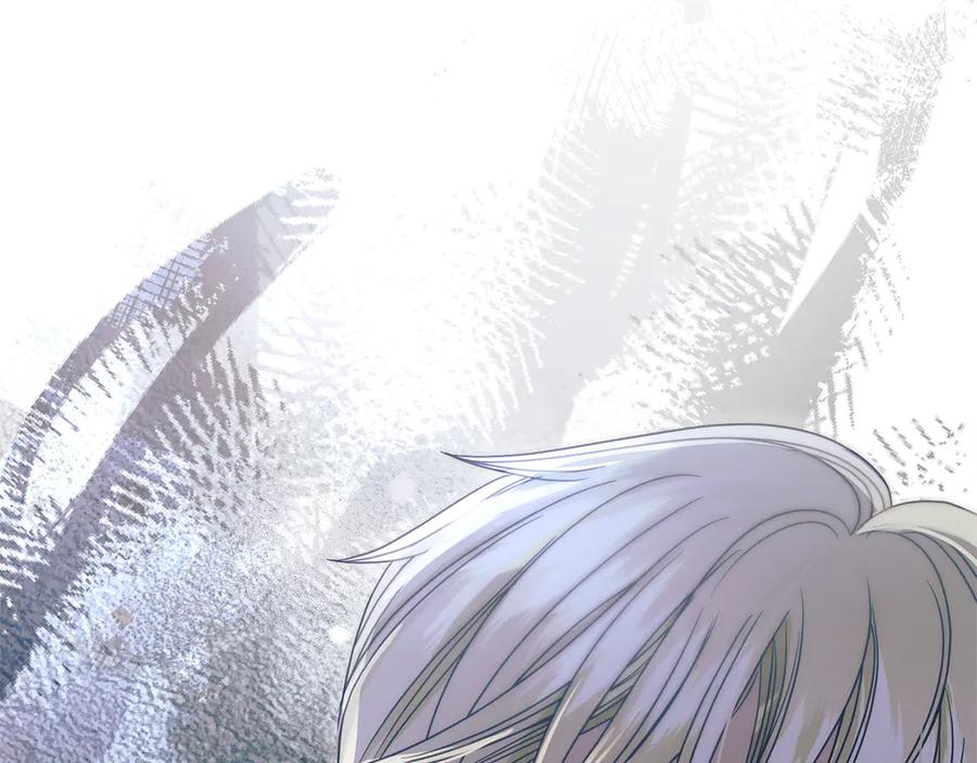 第258页