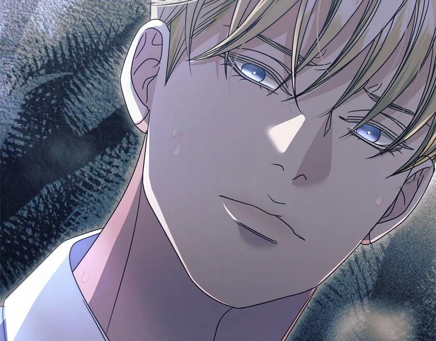 第259页