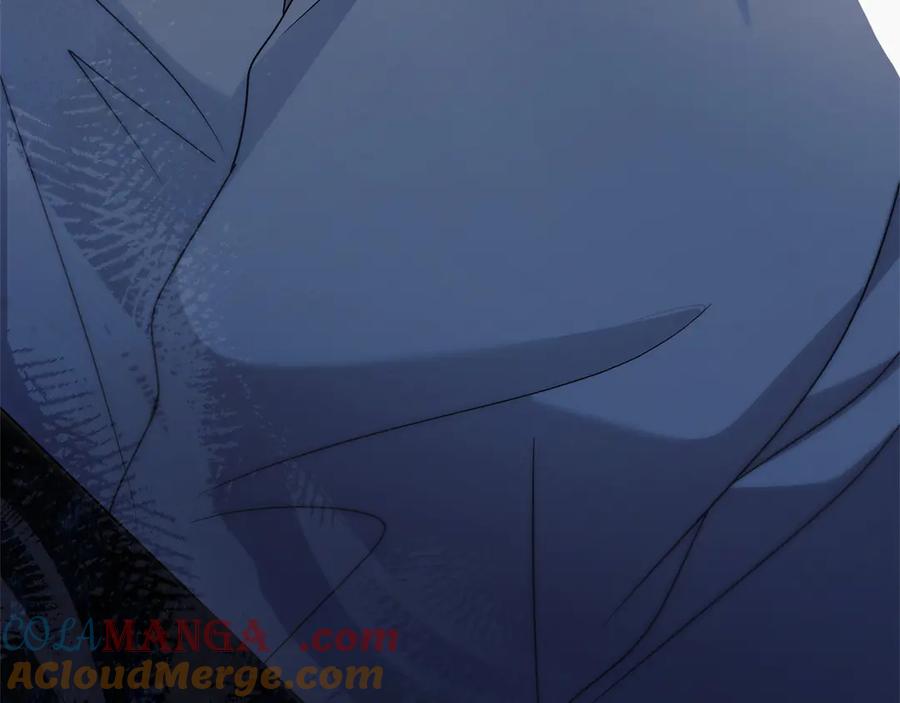 第261页