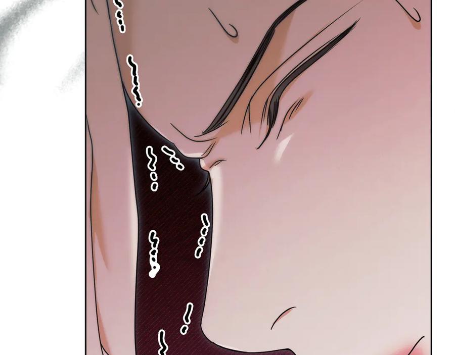 第242页