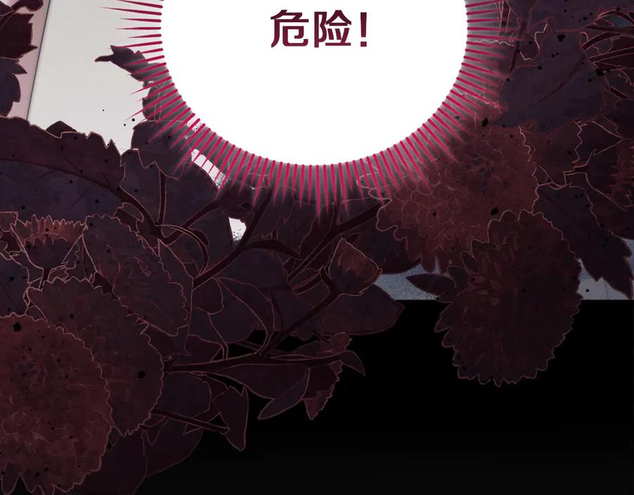 第247页