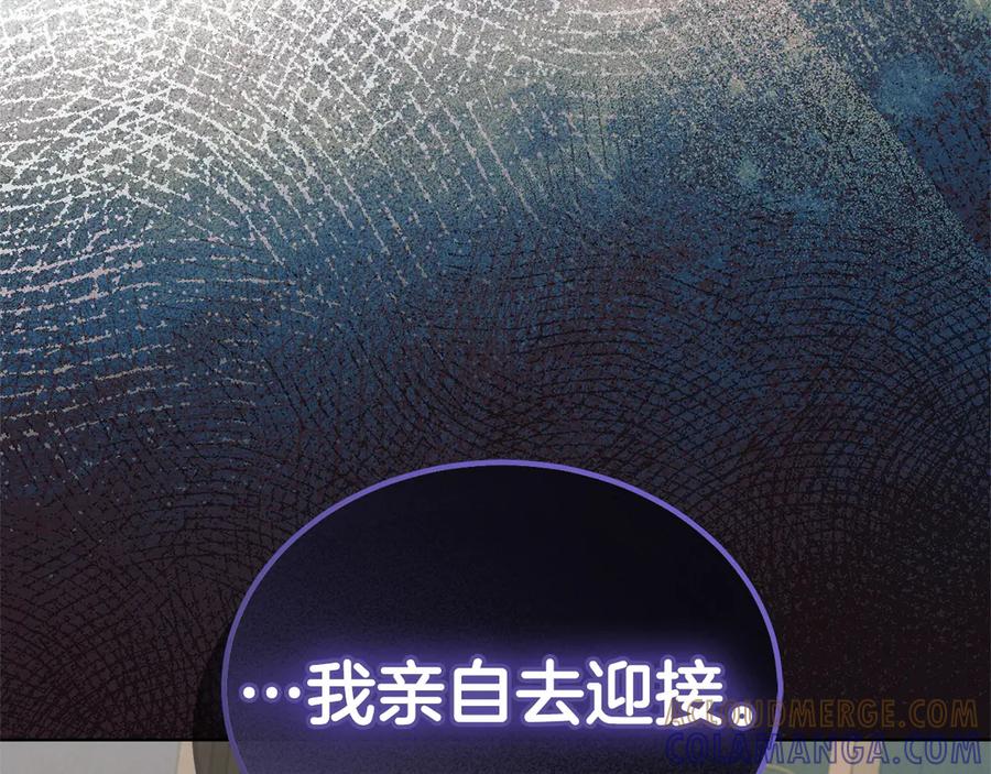 第237页