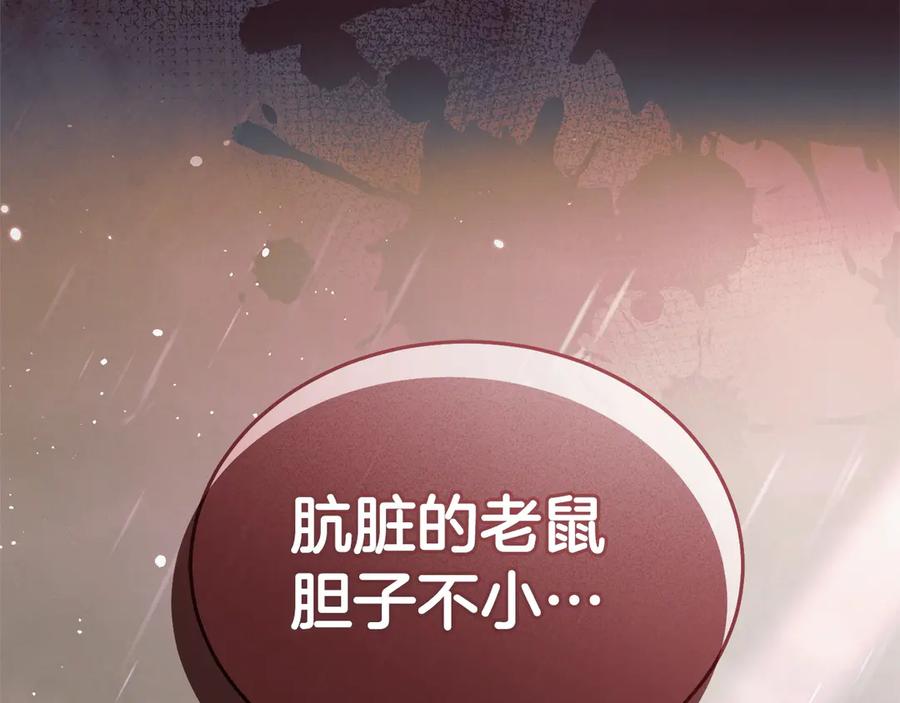 第223页