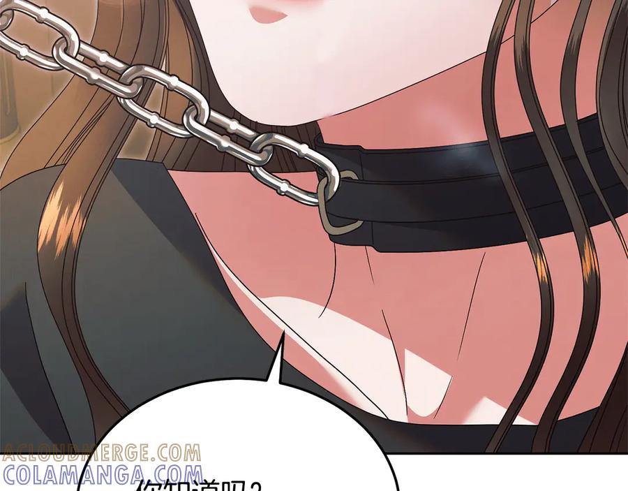 第233页
