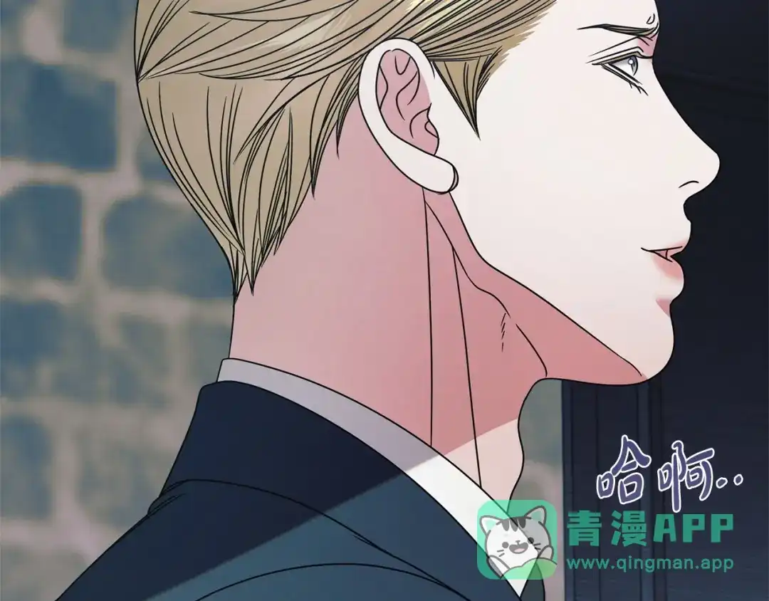 第216页