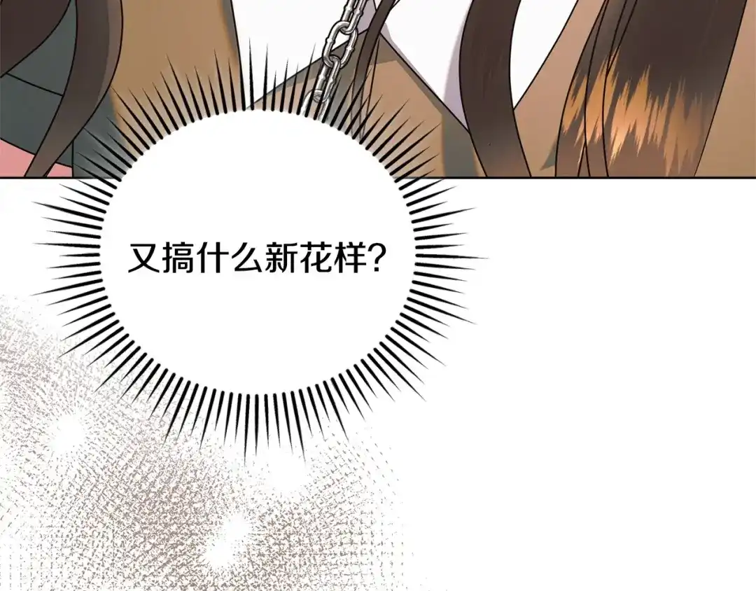 第204页