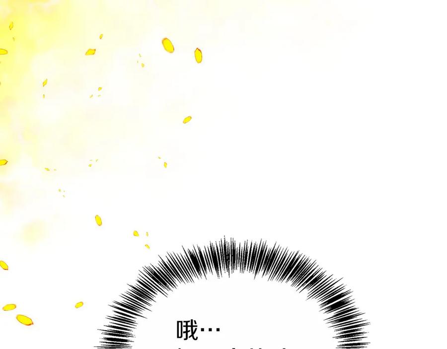 第264页