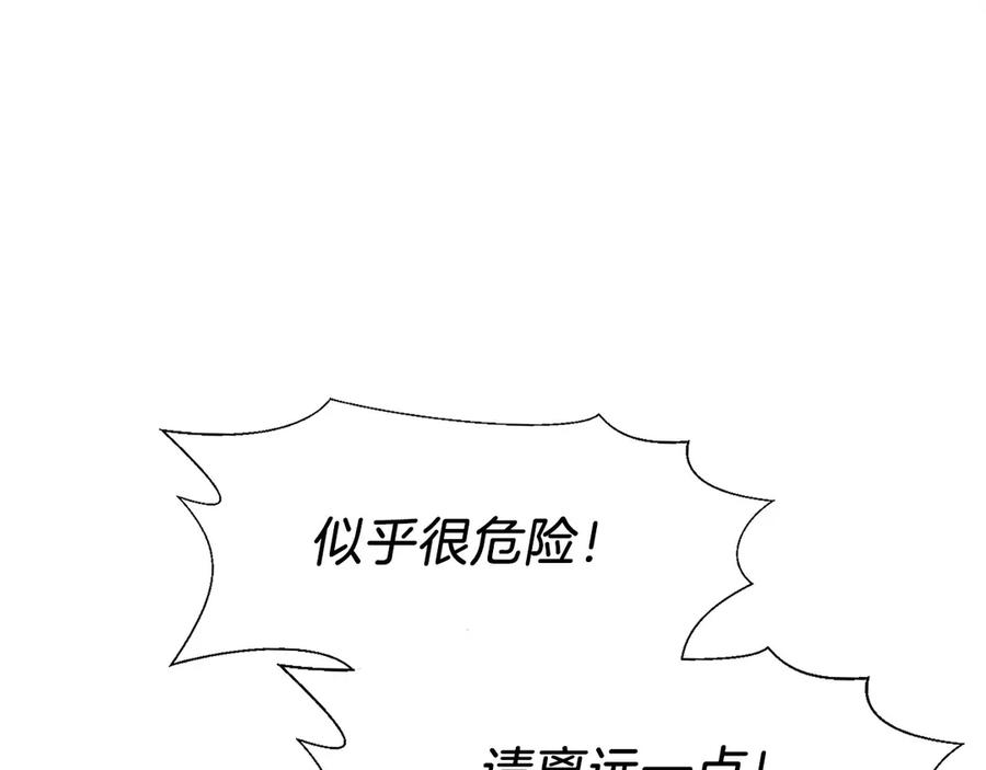 第260页